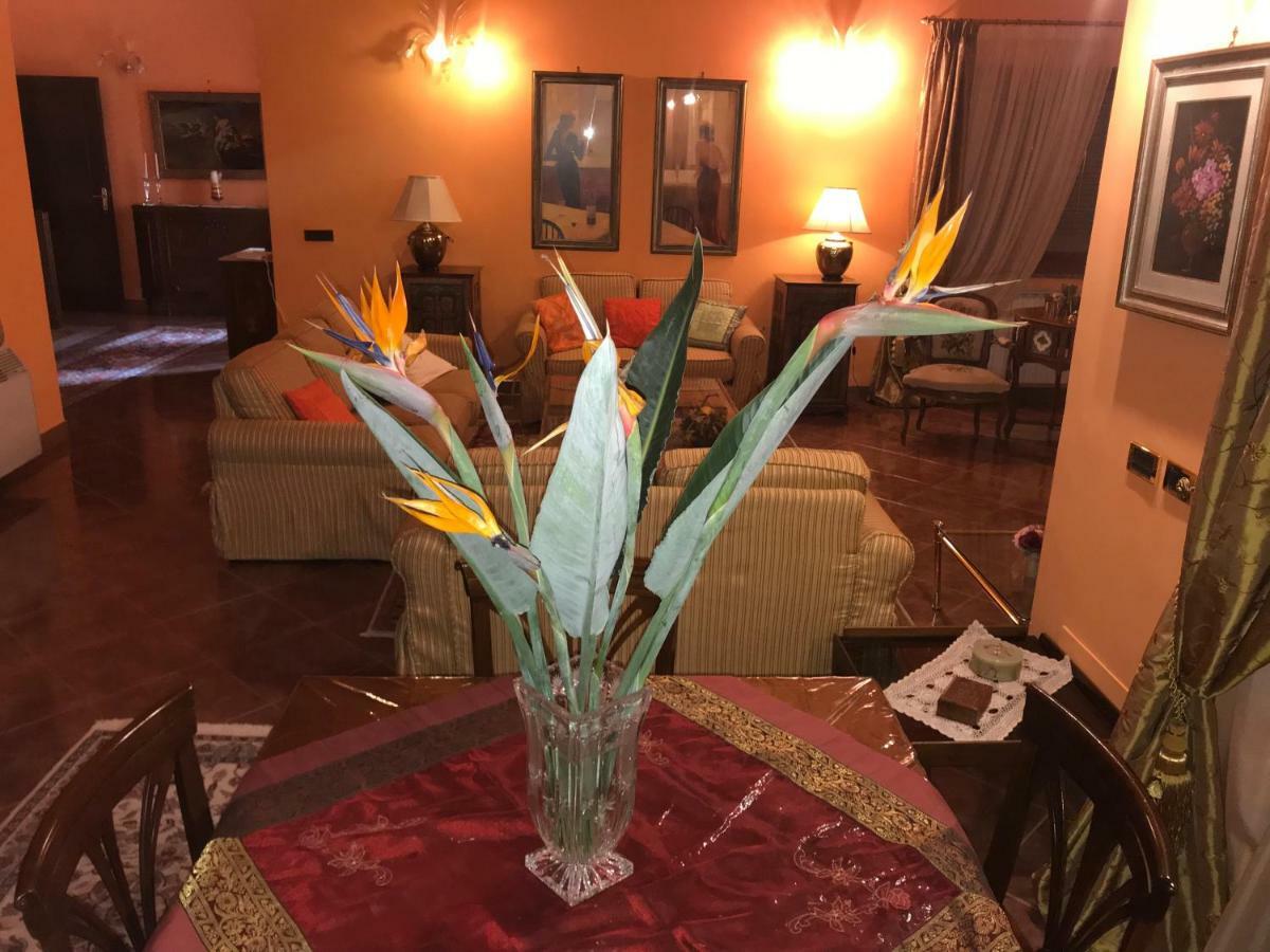 Villa Nevada -20 Min Da Roma Ladispoli Zewnętrze zdjęcie